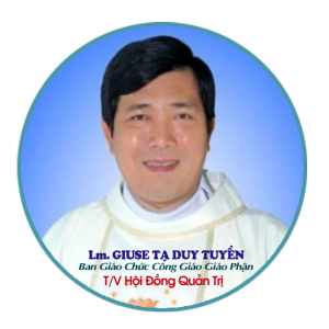 244656004 453786422660442 8913812901946616706 n